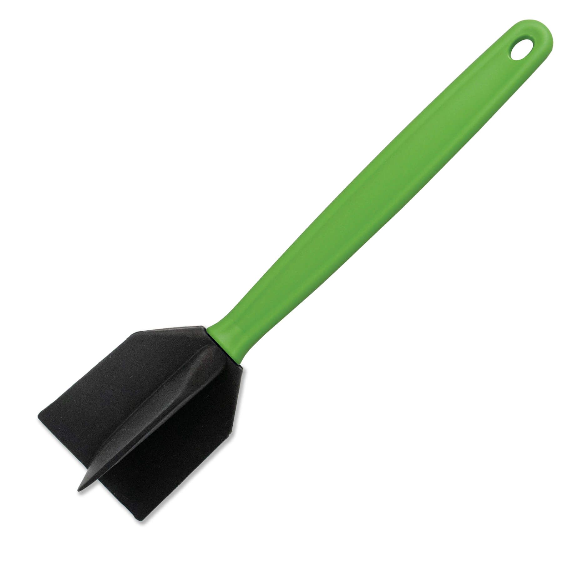 Cilantro Green Blank